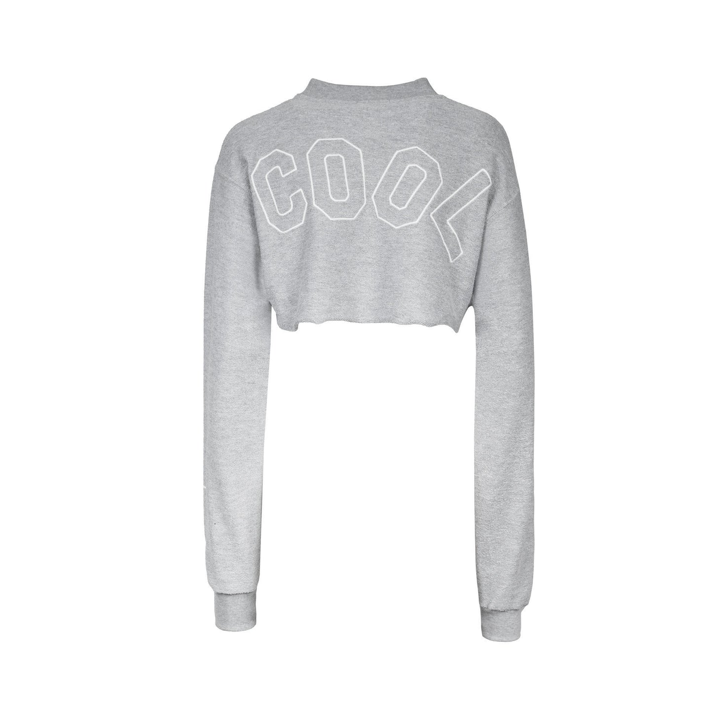 BIG WAVY LOGO CROP SWEATSHIRT HEATHER GREY