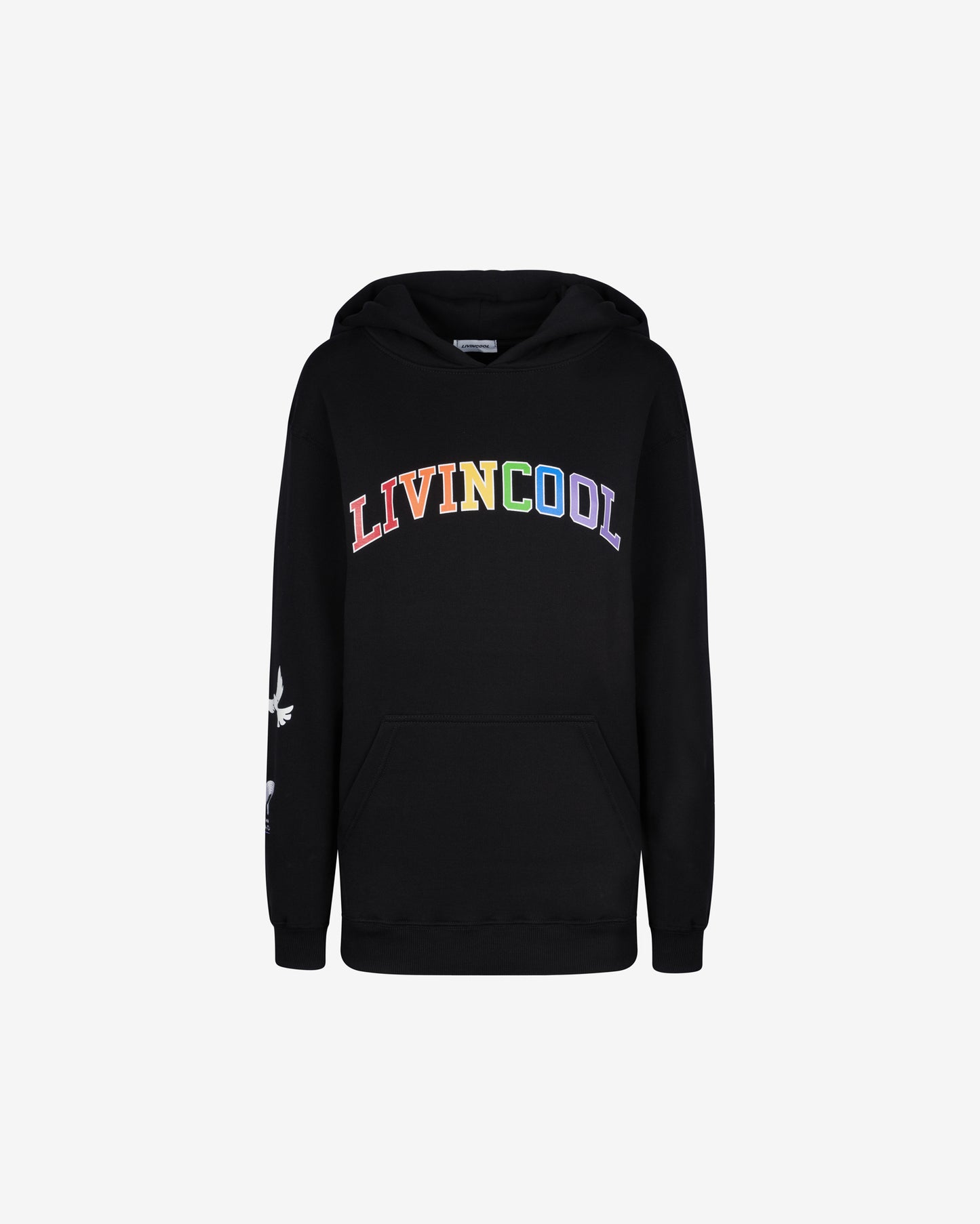 RAINBOW RAILROAD HOODIE BLACK